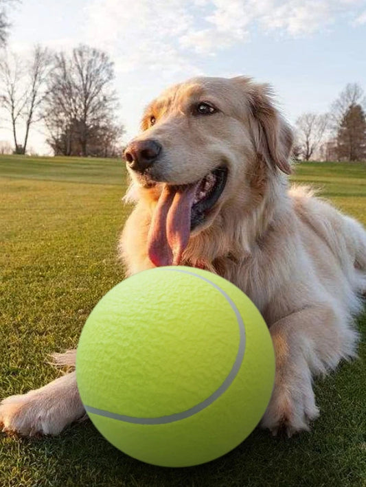 24cm Giant Tennis Ball For Dog