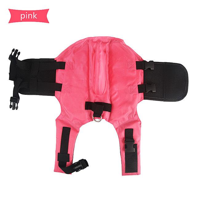 Funny Cute Dog Life Jacket