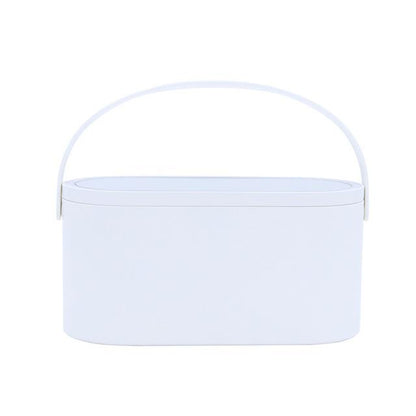 Travel Portable Makeup Organizer Box with LED Light Mirror