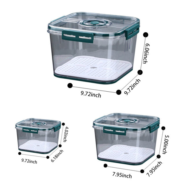 Seal Timer Food Container