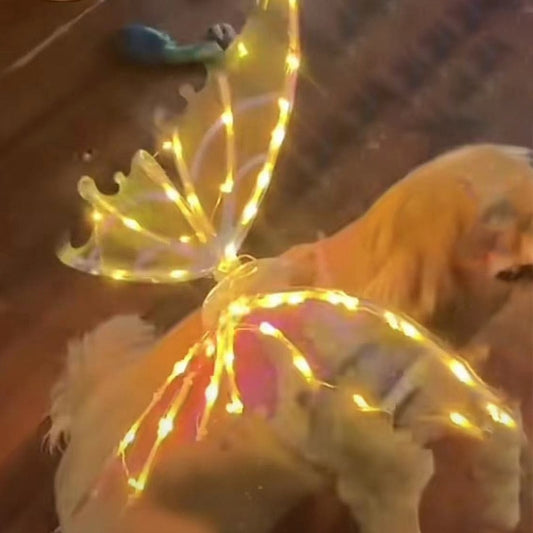 Pet Fairy Sparkly Wings