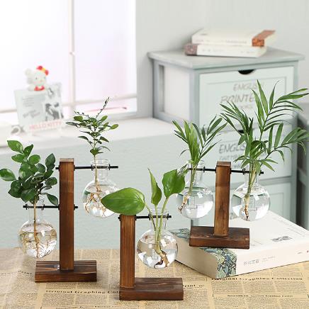 Terrarium Hydroponic Plant Vases Vintage