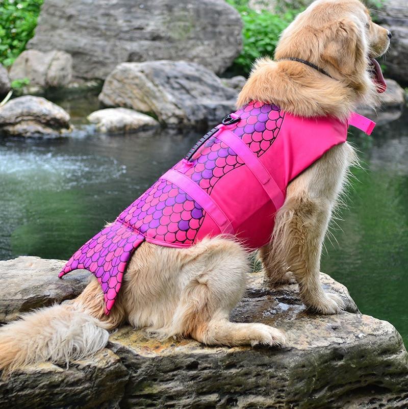 Funny Cute Dog Life Jacket