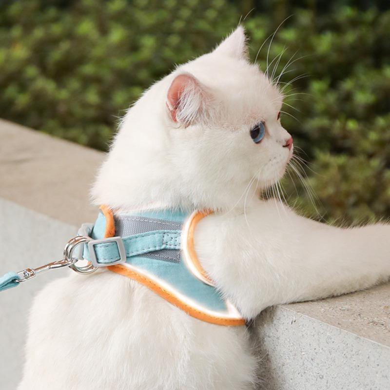 Pet Cat Harnesses