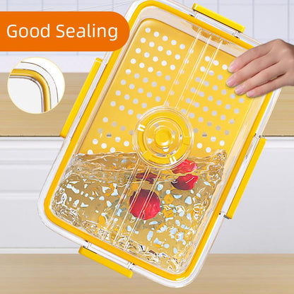 Seal Timer Food Container